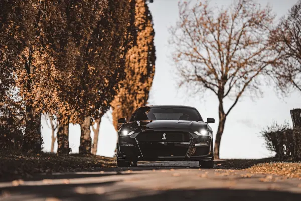 SuperNopea Kasino Android/iOS aplikace